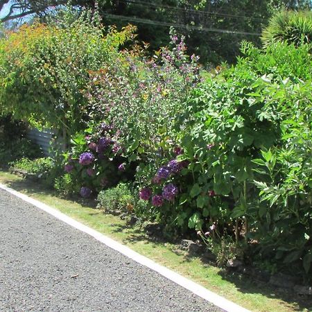 Cozy Haven - Waihi Lejlighed Eksteriør billede