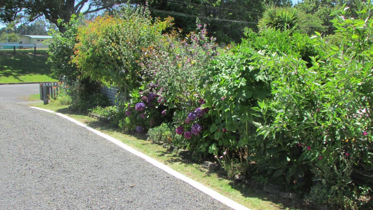 Cozy Haven - Waihi Lejlighed Eksteriør billede