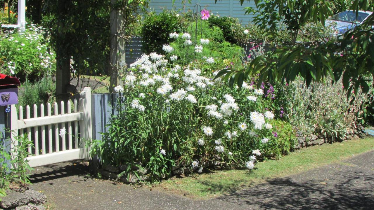 Cozy Haven - Waihi Lejlighed Eksteriør billede