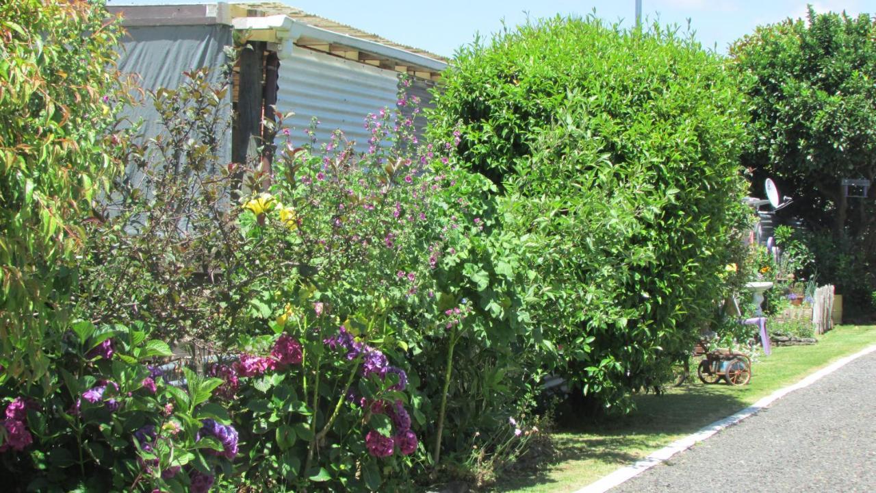 Cozy Haven - Waihi Lejlighed Eksteriør billede